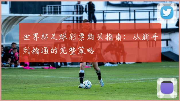 世界杯足球彩票购买指南：从新手到精通的完整策略
