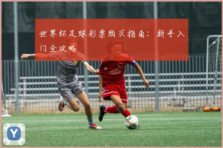 世界杯足球彩票购买指南：新手入门全攻略