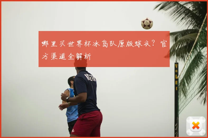 哪里买世界杯冰岛队原版球衣？官方渠道全解析